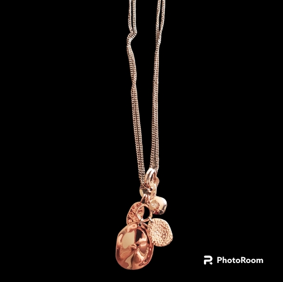 Jewelry - NWT Charm Necklace ❤️HP